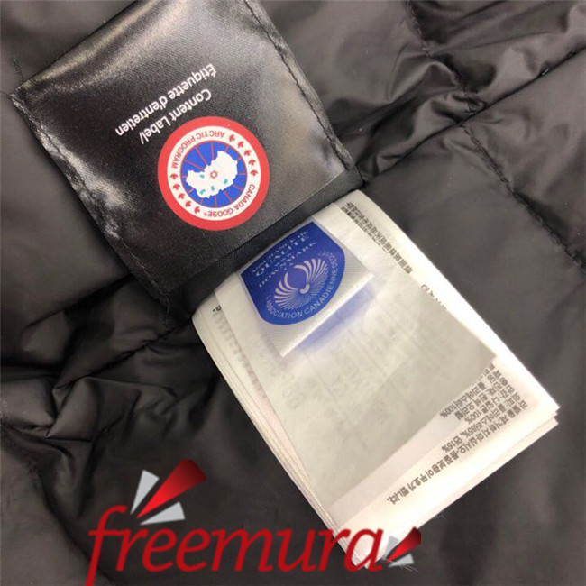 1d1b274ddecabe74ff9bc8bcae5e9b34_1543561536_7144.jpg 1d1b274ddecabe74ff9bc8bcae5e9b34_1543561536_7144.jpg