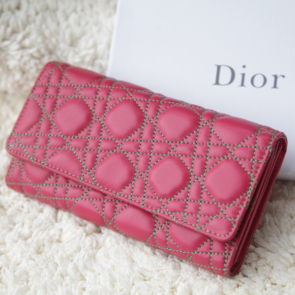 디올 지갑 405 피치