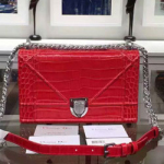 크리스찬디올 16년 보이백 와니 레드