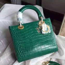 크리스찬디올 레이디디올백 미듐 와니