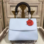 크리스찬디올 토드백 화이트