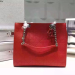 디올 울트라디올 숄더백 Bag