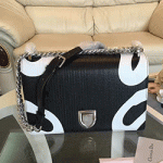 크리스찬 디올 신상 숄더백