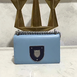 디올 라마 크로스백