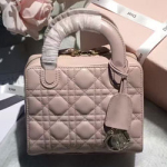  크리스찬디올 토드백