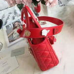  크리스찬디올 토드백