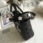 크리스찬디올 토드백