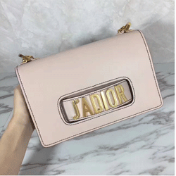 크리스찬디올 숄더백