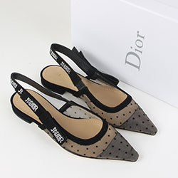 크리스찬디올  슈즈