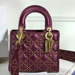  크리스찬디올 토드백 20cm