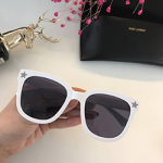 입생로랑   Y- 56562