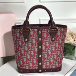 크리스찬디올 패브릭 백  DR180906