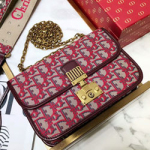 크리스찬디올 패브릭 백  DR1809087