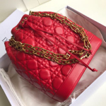 크리스찬디올  버킷백  190125