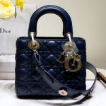 크리스찬디올 토드백  DR-190415