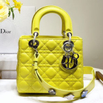 크리스찬디올 토드백  DR-190415