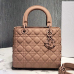 크리스찬디올 토드백 24cm DR-190819