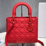 크리스찬디올 토드백 24cm DR-190819