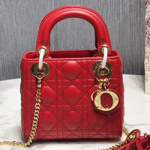 크리스찬디올 토드백 17cm DR-190820