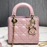 크리스찬디올 토드백 17cm DR-190820