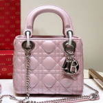 크리스찬디올 토드백 17cm DR-190820