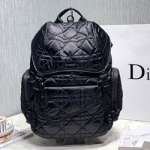 크리스찬디올 백백  191122