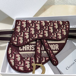 크리스찬디올 SADDLE OBLIQUE  멀티 컬러 파우치 벨트백 