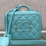 샤넬 카메라 케이스 AS200318