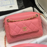 샤넬 카메라 케이스 200612