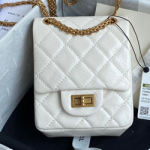 샤넬 케이스 백 AS200910