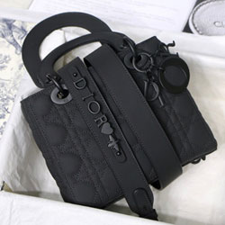 크리스찬디올 토드백 20cm DR-210107