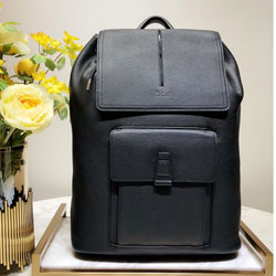 크리스찬디올 백팩 DR210118