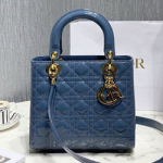 크리스찬디올 토드백 24cm DR-210127