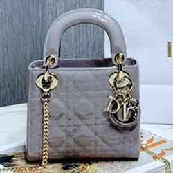 크리스찬디올 토드백 17cm DR-210130