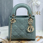 크리스찬디올 토드백 17cm DR-210130