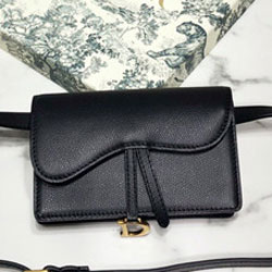 크리스찬디올 파우치 벨트백  DR210314