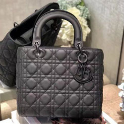 크리스찬디올 토드백 24cm DR-190819