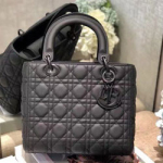 크리스찬디올 토드백 24cm DR-190819