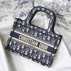 크리스찬디올 오리지널 OBLIQUE 자수 캔버스 미니백