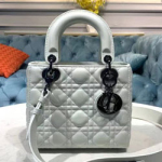 크리스찬디올 토드백 20cm DR-190820