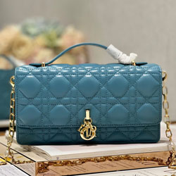 크리스찬디올 숄더백 230411