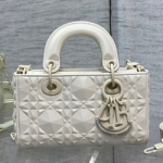 크리스찬디올 숄더백 DR230826