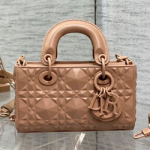 크리스찬디올 숄더백 DR230826