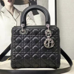 크리스찬디올 숄더백 DR230913