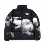 THE NORTH FACE T-4644