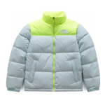THE NORTH FACE T-31154