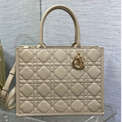 크리스찬디올 핸드백 240618