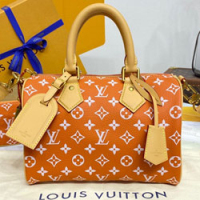 루이비통 Speedy P9 반둘리에 25 M24425