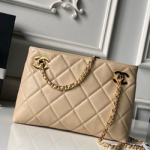 샤넬 핸드백 25cm AS6248